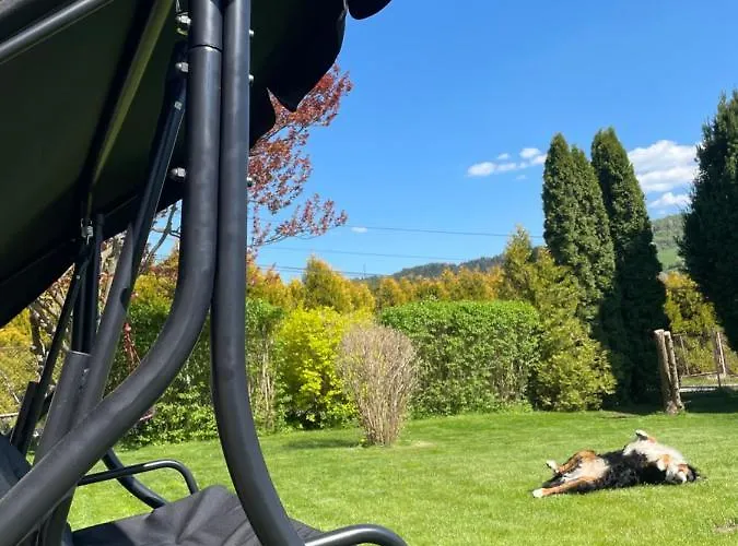 Dolce מז'צ'אנה דולנה